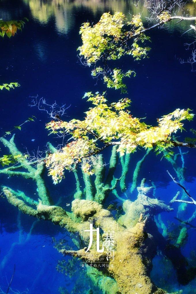 我想找个农业研究的大学生好找吗？以种植合作的方式游戏画面