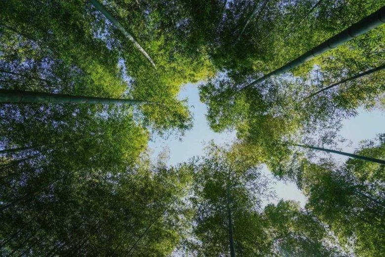 我想找个农业研究的大学生好找吗？以种植合作的方式游戏画面